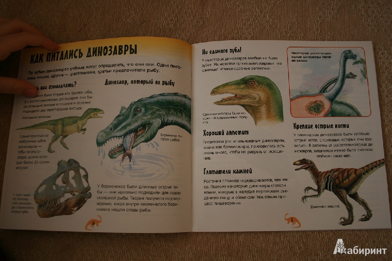 Иллюстрация 24 из 27 для Прикольный подарок. Шоу динозавров | Лабиринт - книги. Источник: Prospere