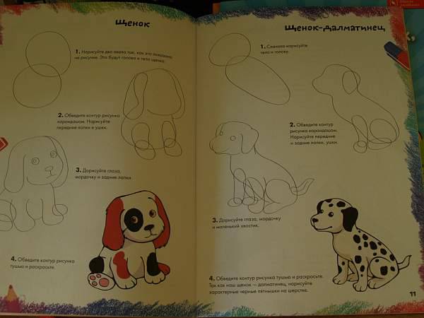 Иллюстрация 6 из 36 для Рисуем домашних любимцев | Лабиринт - книги. Источник: Cовушка