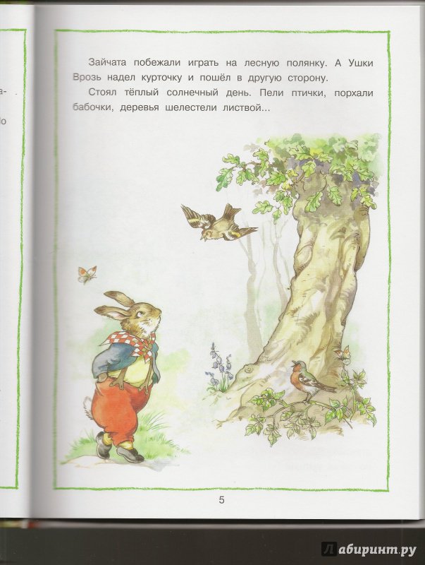 Лесные истории 1. Клок Рене "Лесные истории". Лесные истории книга. Детская книга Лесные истории. Рене клок иллюстрации.