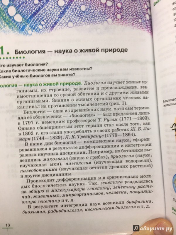 Иллюстрация 25 из 30 для Биология. Введение в общую биологию. 9 класс. Учебник. ФГОС - Пасечник, Каменский, Криксунов, Швецов | Лабиринт - книги. Источник: Lina