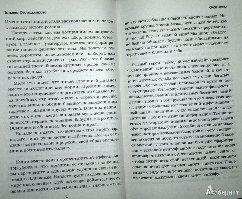 Иллюстрация 2 из 5 для Очаг вины - Татьяна Огородникова | Лабиринт - книги. Источник: Леонид Сергеев