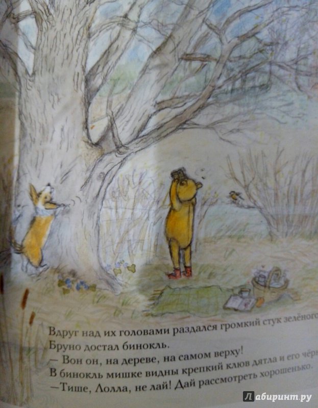 Иллюстрация 40 из 51 для Весна мишки Бруно - Гунилла Ингвес | Лабиринт - книги. Источник: Панина Елена