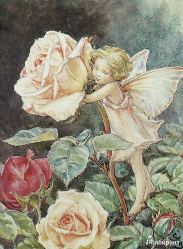 Иллюстрация 2 из 7 для Маленькие феи. Книжка-раскраска для юных леди | Лабиринт - книги. Источник: elvladi