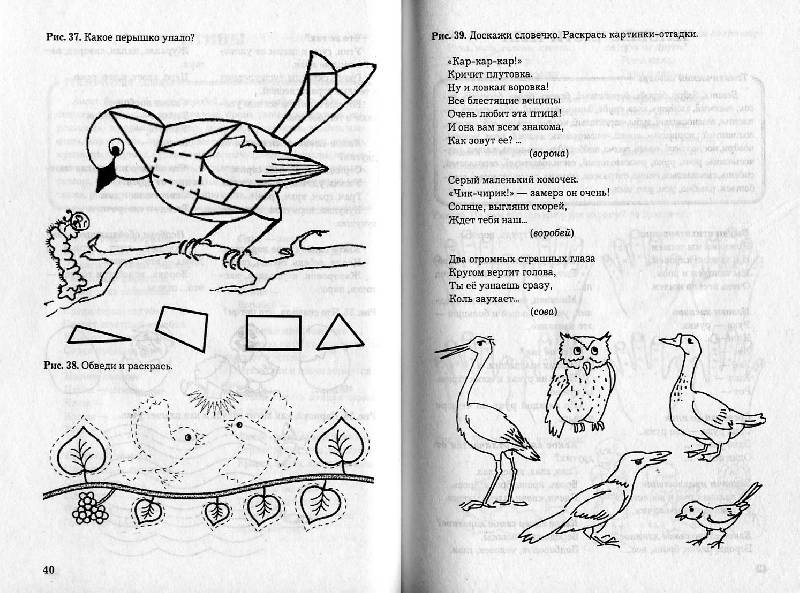 Иллюстрация 10 из 15 для Развитие речи и познавательных способностей дошкольников 4-5 лет - Карпова, Мамаева | Лабиринт - книги. Источник: Росинка