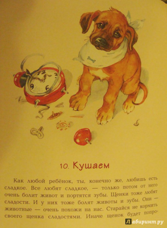 Иллюстрация 18 из 24 для У меня появился щенок - Анна Доброчасова | Лабиринт - книги. Источник: Сибирь