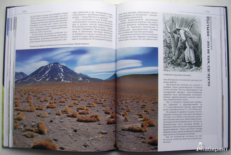 Иллюстрация 8 из 50 для В мире растений - Дикарева, Леонова | Лабиринт - книги. Источник: Allee