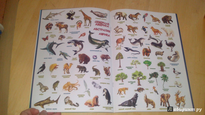 Иллюстрация 9 из 23 для Атлас мира с наклейками. Животные и растения | Лабиринт - книги. Источник: bamboo