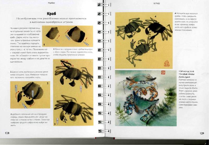 Иллюстрация 15 из 51 для Китайская живопись кистью - Вив Фостер | Лабиринт - книги. Источник: Юта