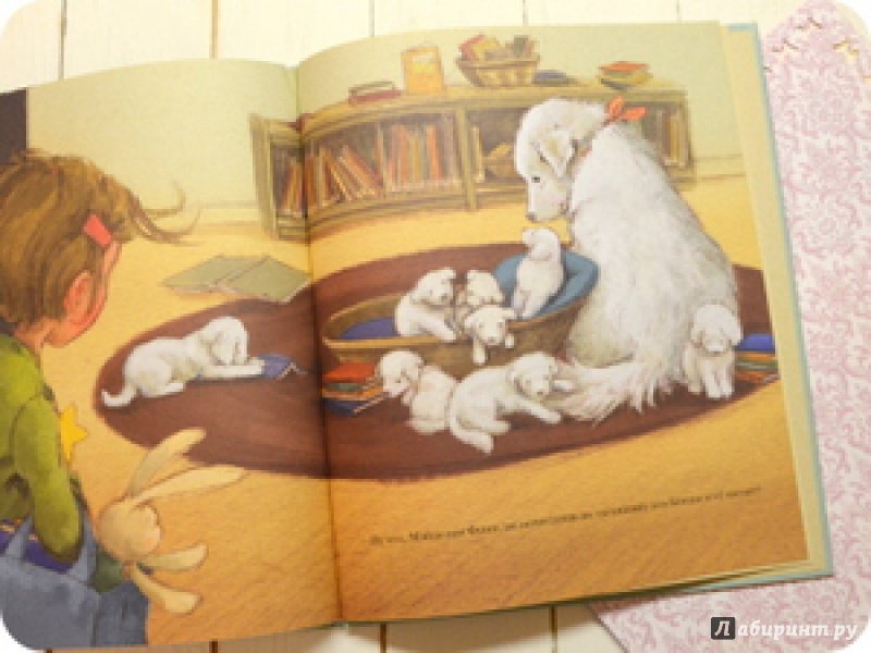 Иллюстрация 21 из 48 для Мэйделин Финн и библиотечная собака - Лиза Папп | Лабиринт - книги. Источник: anne-d-autriche