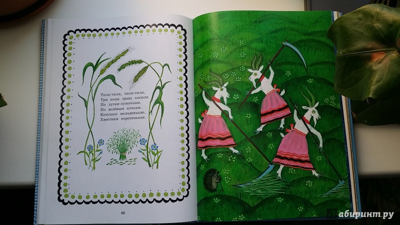 Иллюстрация 38 из 167 для Чудо-радуга | Лабиринт - книги. Источник: SV.ND