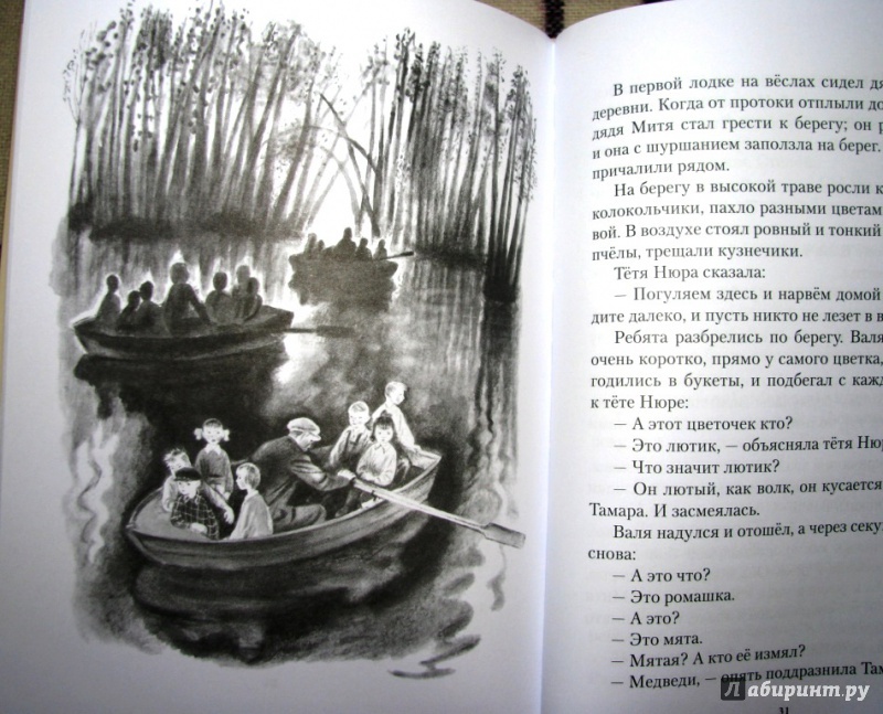 Иллюстрация 36 из 44 для Сосны шумят - Ирина Токмакова | Лабиринт - книги. Источник: Бог в помощь
