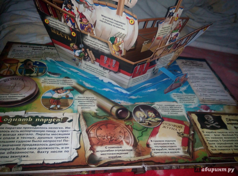 Иллюстрация 4 из 45 для Пираты | Лабиринт - книги. Источник: Olga Sevaeva