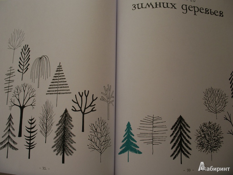 Иллюстрация 14 из 42 для 20 способов нарисовать дерево и другие 44 чуда природы - Элоиз Ренуф | Лабиринт - книги. Источник: Tiger.