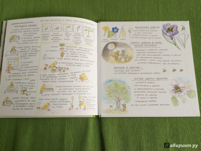 Иллюстрация 25 из 51 для Весна мишки Бруно - Гунилла Ингвес | Лабиринт - книги. Источник: Сан Санна