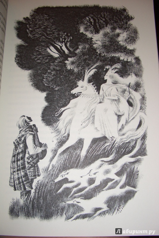 Иллюстрация 10 из 51 для Шотландские народные сказки и легенды | Лабиринт - книги. Источник: aliceinw