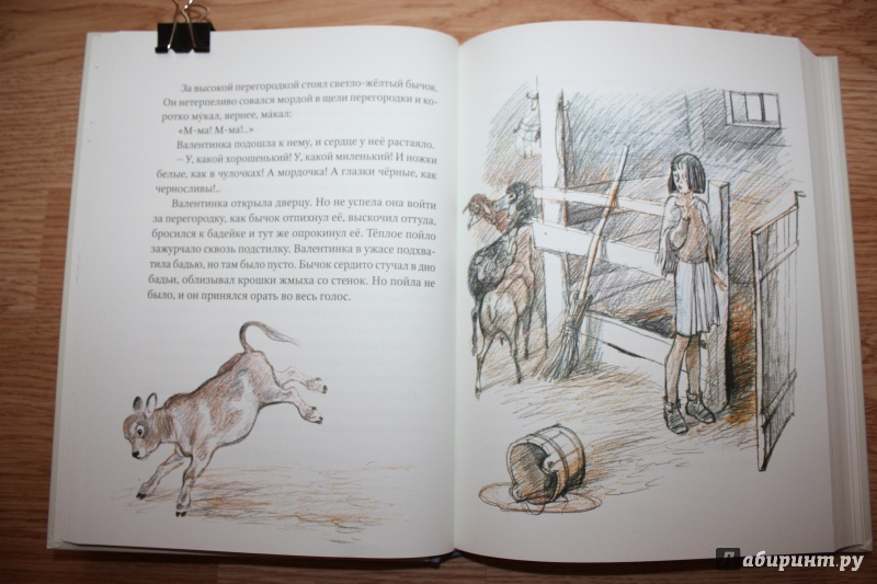 Иллюстрация 33 из 59 для Девочка из города. Гуси-лебеди - Любовь Воронкова | Лабиринт - книги. Источник: Bradbury