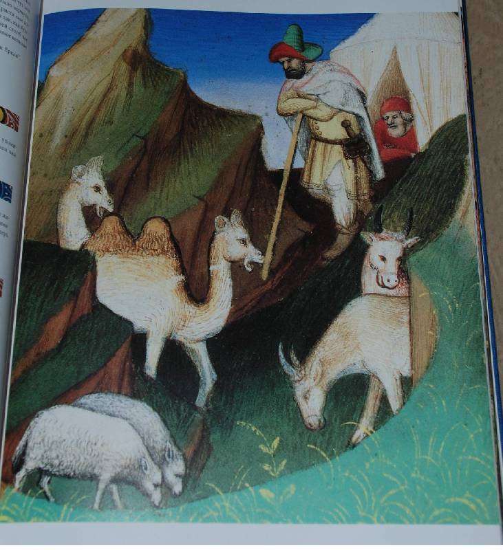 Иллюстрация 5 из 46 для Книга чудес | Лабиринт - книги. Источник: МаRUSя