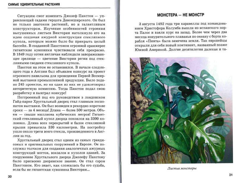 Иллюстрация 12 из 54 для Самые удивительные растения - Сергей Афонькин | Лабиринт - книги. Источник: Юта