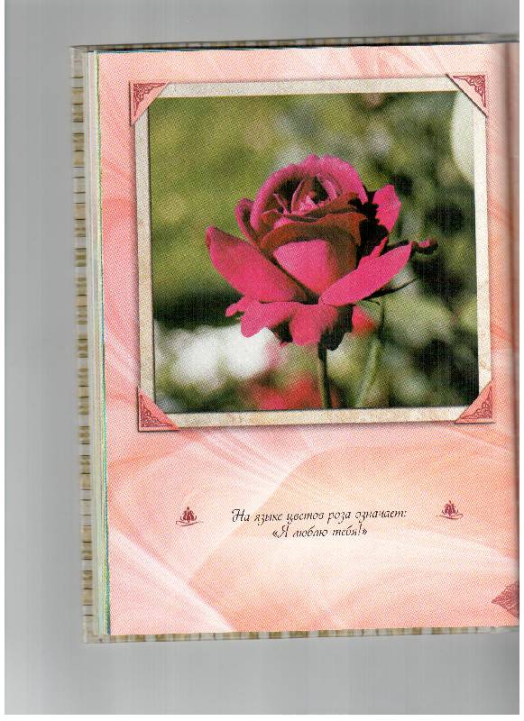Иллюстрация 25 из 36 для Благодарю вас за цветы | Лабиринт - книги. Источник: gabi
