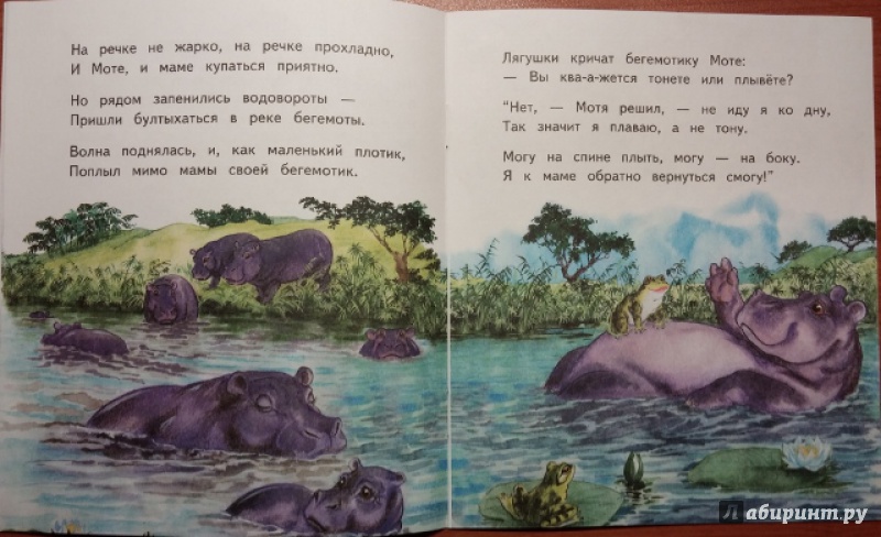 Иллюстрация 5 из 32 для Слонёнок Санни - Владимир Борисов | Лабиринт - книги. Источник: Мама Анюты