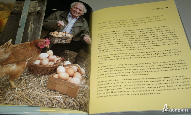Иллюстрация 7 из 34 для Яйца - Мишель Ру | Лабиринт - книги. Источник: Леонид Сергеев