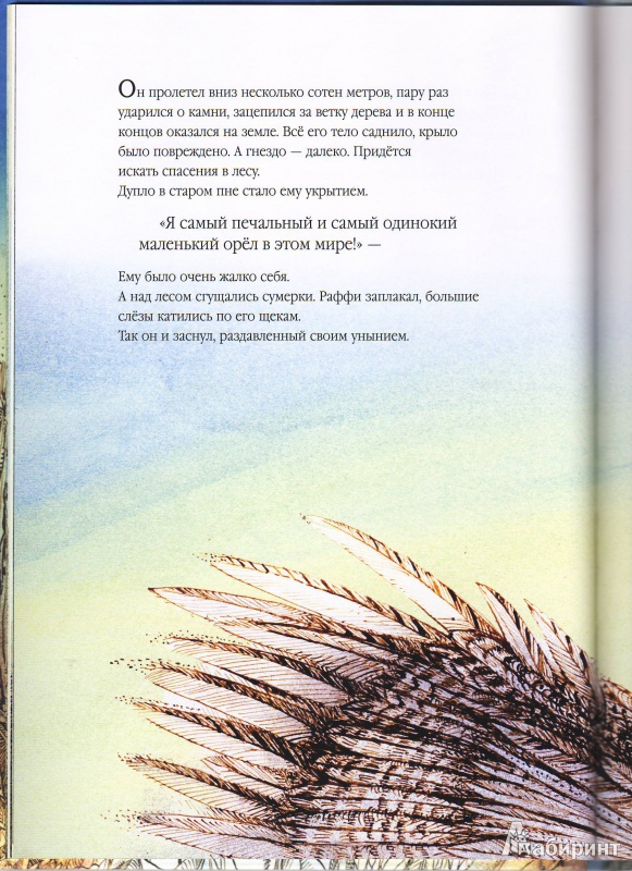 Иллюстрация 18 из 39 для Раффи, белоснежный орёл - Рэйнвиль, Джеминиани | Лабиринт - книги. Источник: Трубадур