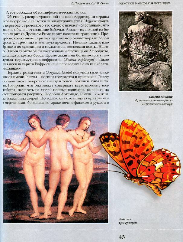 Иллюстрация 29 из 50 для Бабочки в мифах и легендах - Алексеев, Бабенко | Лабиринт - книги. Источник: Росинка
