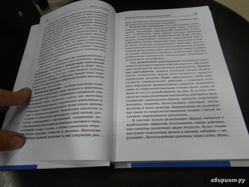 Иллюстрация 11 из 34 для Религия и политика. Учебное пособие. ФГОС - Самыгин, Нечипуренко, Воденко | Лабиринт - книги. Источник: Меринов  Кирилл