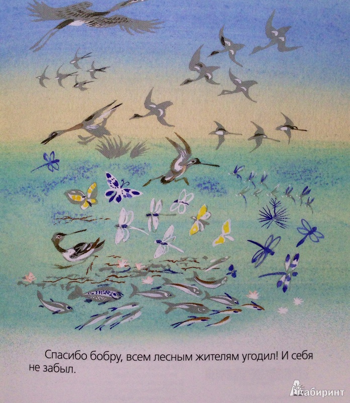 Иллюстрация 12 из 25 для Бобровый пруд - Николай Сладков | Лабиринт - книги. Источник: Xikary