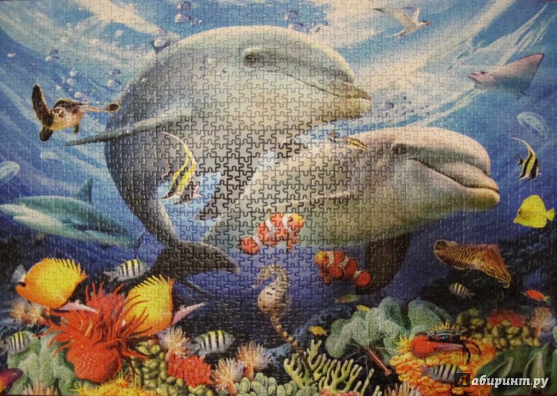 Иллюстрация 3 из 3 для Puzzle-1500 "Дельфины" (C-151257) | Лабиринт - игрушки. Источник: Petrova