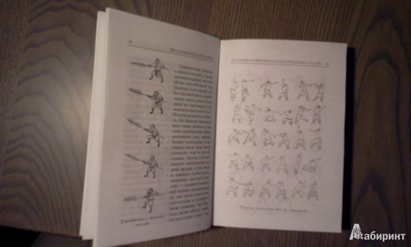 Иллюстрация 4 из 6 для Школа шаолинского кунгфу - Ши, Чертовских | Лабиринт - книги. Источник: Губина Катерина