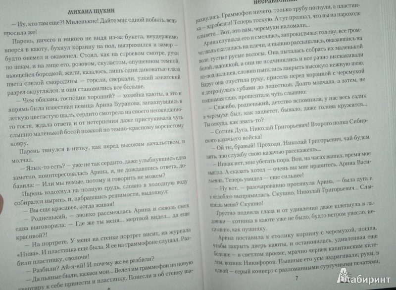 Иллюстрация 7 из 23 для Несравненная - Михаил Щукин | Лабиринт - книги. Источник: Леонид Сергеев