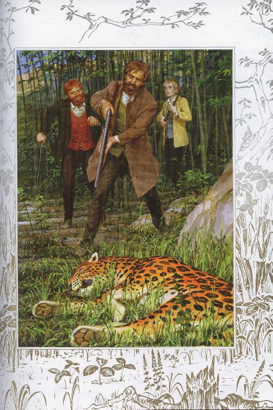 Иллюстрация 42 из 59 для Таинственный остров - Жюль Верн | Лабиринт - книги. Источник: Igra