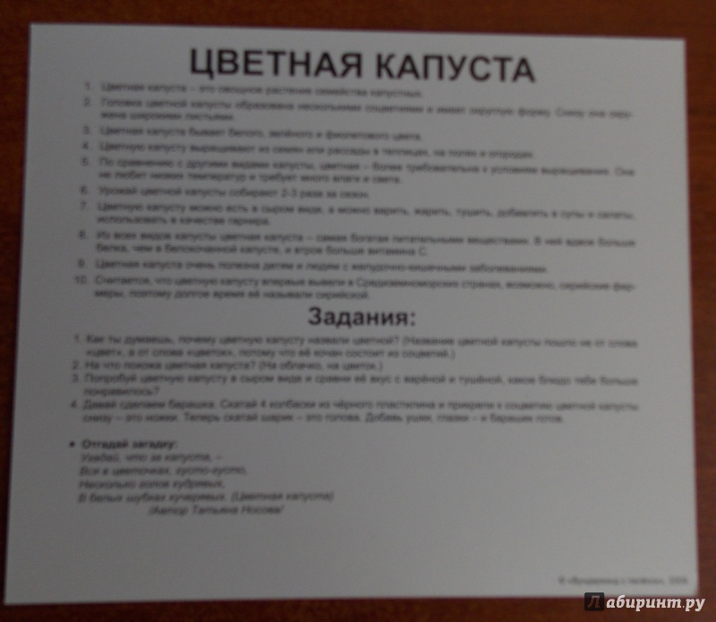 Иллюстрация 7 из 36 для Комплект карточек "Овощи" (16,5х19,5 см) - Носова, Епанова | Лабиринт - игрушки. Источник: Sweet mama