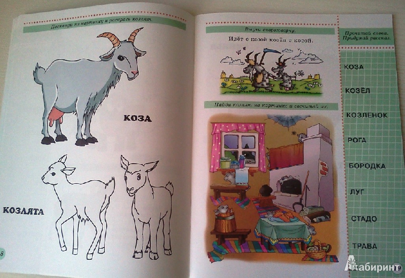 Иллюстрация 18 из 27 для Ребятам о зверятах. | Лабиринт - книги. Источник: ОксанаШ