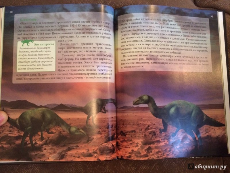 Иллюстрация 28 из 36 для Динозавры - Ирина Астапенко | Лабиринт - книги. Источник: Лабиринт