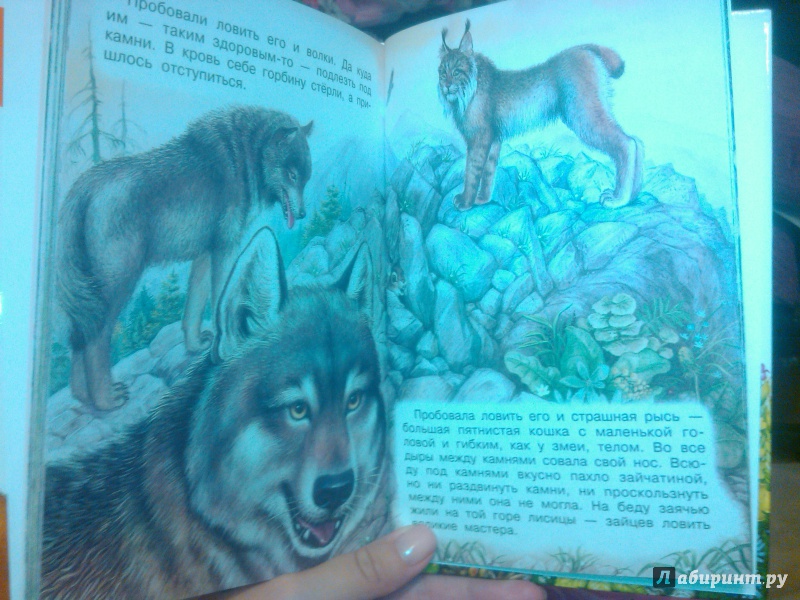 Иллюстрация 6 из 30 для Рассказы и сказки о животных - Бианки, Сладков, Пришвин | Лабиринт - книги. Источник: Лабиринт