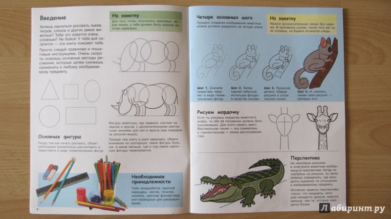 Иллюстрация 3 из 15 для Учимся рисовать. Животные | Лабиринт - книги. Источник: Данилова  Мария Александровна