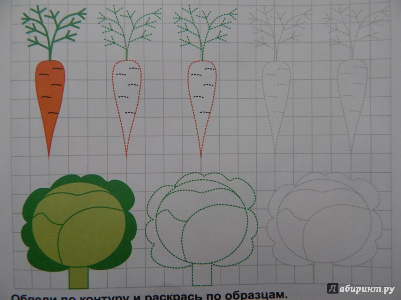 Иллюстрация 19 из 27 для Готовим руку к письму. Рисуем овощи и фрукты - О. Кучеренко | Лабиринт - книги. Источник: Мелкова  Оксана