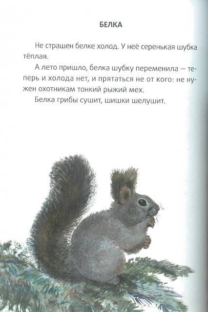 Иллюстрация 15 из 42 для Большие и маленькие - Евгений Чарушин | Лабиринт - книги. Источник: bel-k