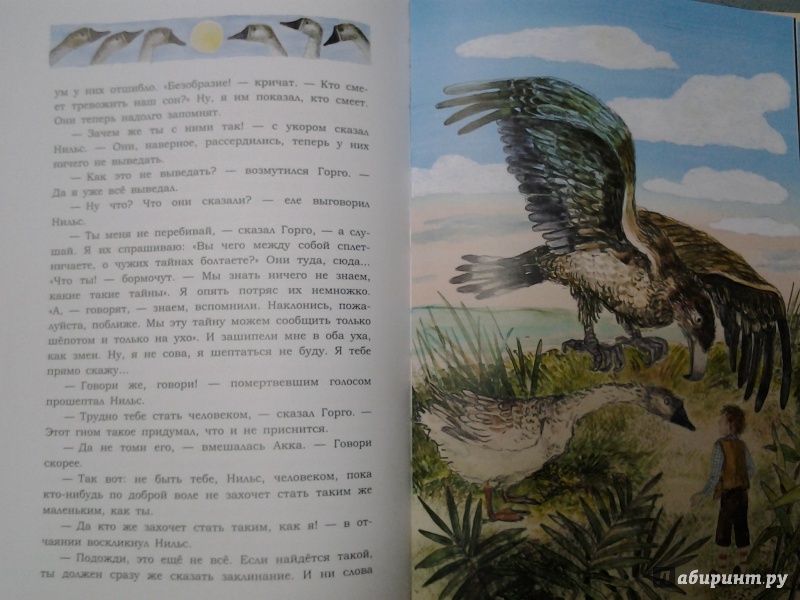 Иллюстрация 28 из 36 для Чудесное путешествие Нильса с дикими гусями - Сельма Лагерлеф | Лабиринт - книги. Источник: Olga