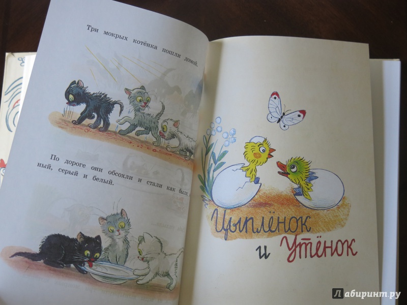 Иллюстрация 21 из 61 для Любимые сказки и картинки - Владимир Сутеев | Лабиринт - книги. Источник: anschaffen