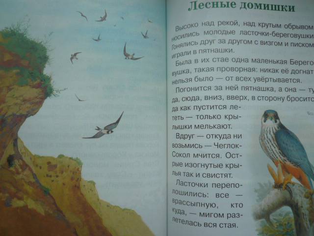 Иллюстрация 21 из 62 для Сказки и рассказы о животных - Виталий Бианки | Лабиринт - книги. Источник: Nadezhda_S