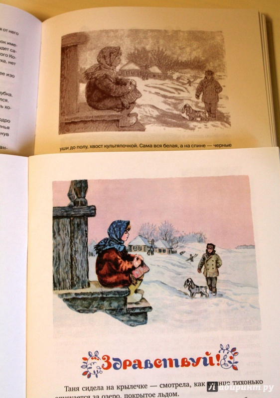 Иллюстрация 32 из 38 для Я учил их птицам - Виталий Бианки | Лабиринт - книги. Источник: E.B.