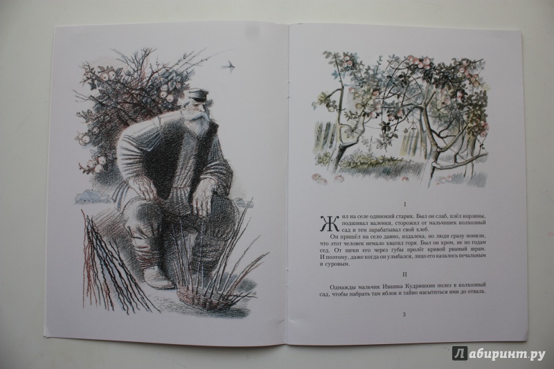 Иллюстрация 12 из 35 для Горячий камень - Аркадий Гайдар | Лабиринт - книги. Источник: Bradbury