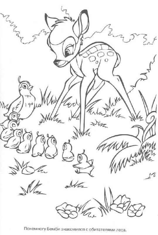 Иллюстрация 3 из 13 для Волшебная раскраска "Бемби" (№ 1079) | Лабиринт - книги. Источник: Дашина мама