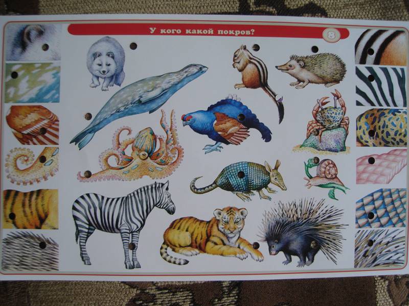 Иллюстрация 2 из 14 для Набор карточек к электровикторине. "Детям о животных" | Лабиринт - игрушки. Источник: Анна Викторовна