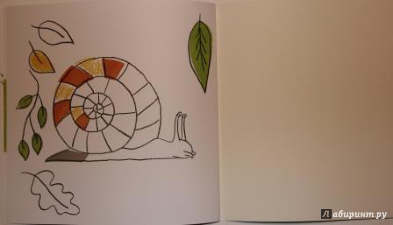 Иллюстрация 14 из 70 для Разноцветная природа - Пито, Жерве | Лабиринт - книги. Источник: SvetlanaS
