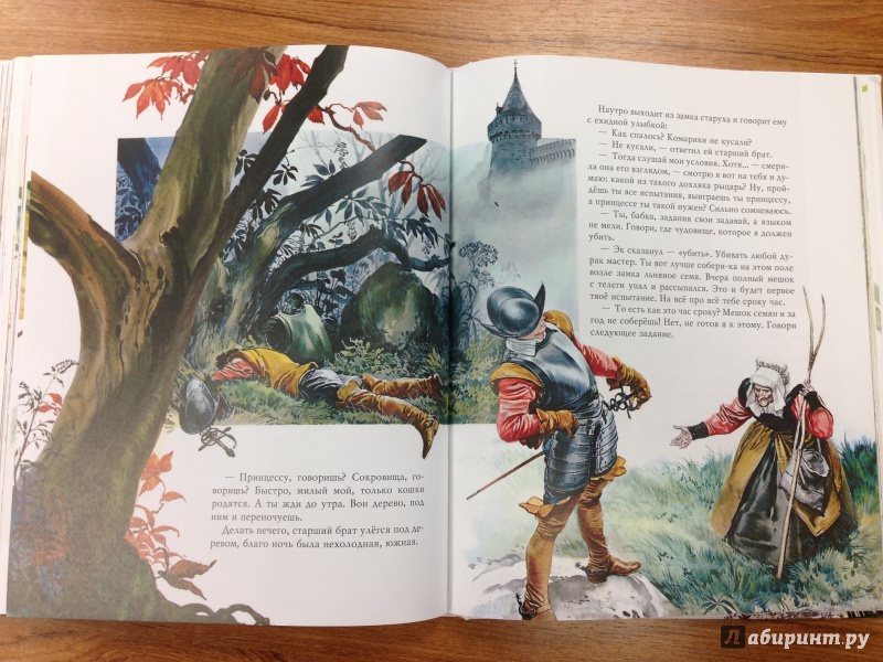 Иллюстрация 6 из 150 для Золотые сказки великих сказочников - Перро, Гримм, Андерсен | Лабиринт - книги. Источник: Транжира