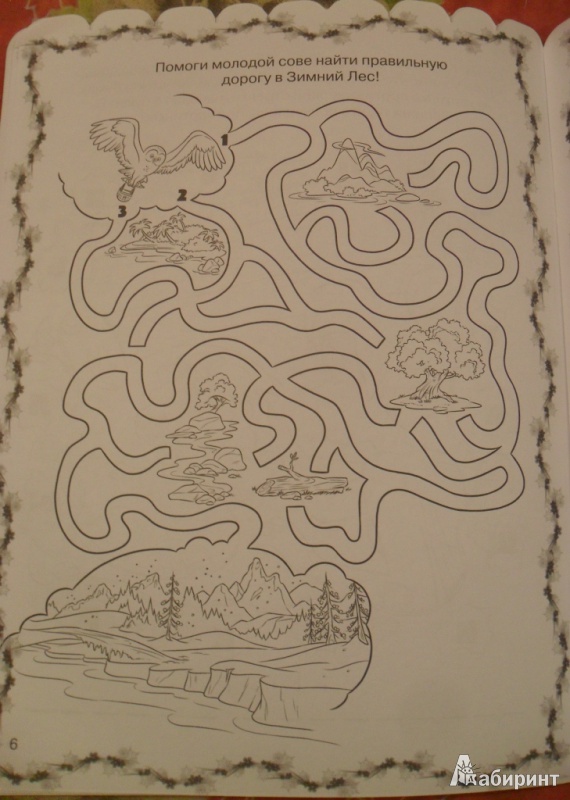 Иллюстрация 2 из 6 для Раскраска-отгадалка "Феи: Тайна Зимнего Леса" (№ 1302) | Лабиринт - книги. Источник: elogs